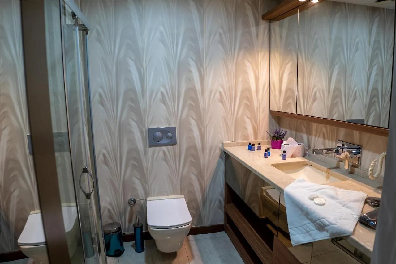My Palace Rooms Hotel Saw Istanbulská provincie 3*,  Turecko